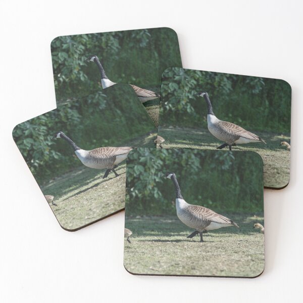 Item preview, Out For a Walk, Canada Goose with Goslings designed and sold by David Patterson.