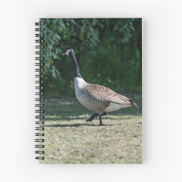 Item preview, De paseo: ganso canadiense con crías designed and sold by David Patterson.
