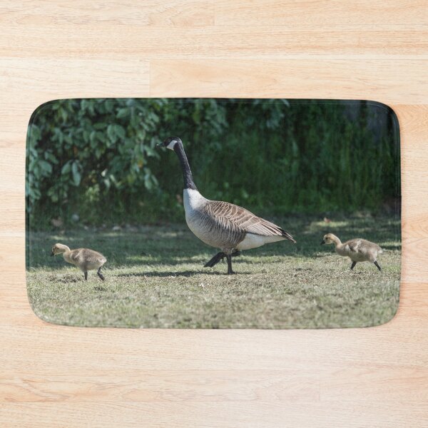 Item preview, Out For a Walk, Canada Goose with Goslings designed and sold by David Patterson.