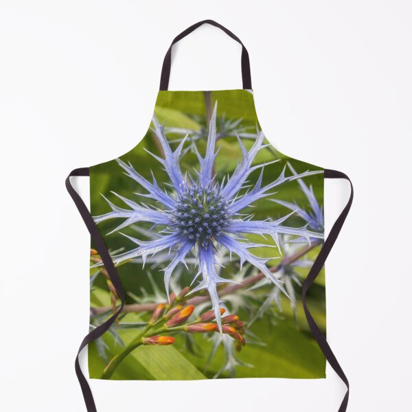 Artikelvorschau, Blaue Stranddistel Blume in voller Blüte entworfen und verkauft von David Patterson.