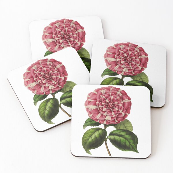 Item preview, Pink and White Camellia Japonica Flower designed and sold by IrisAndIvy.