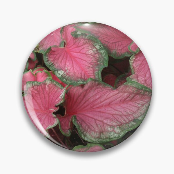 Item preview, Vibrant Caladium Leaves designed and sold by David Patterson.