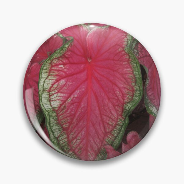 Item preview, Vibrant Caladium Leaf designed and sold by David Patterson.