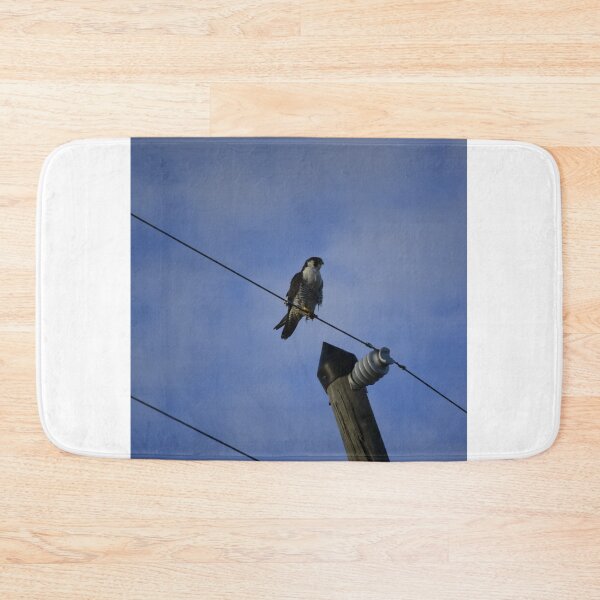 Item preview, Apopka Wildlife Drive Peregrine Falcon  designed and sold by MercerImages.