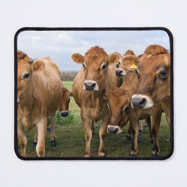 Item preview, Curious Jersey Cows designed and sold by karenadams.