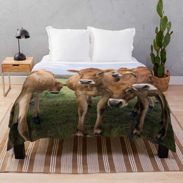 Aperçu de l'œuvre Vaches curieuses Jersey créée et vendue par karenadams.