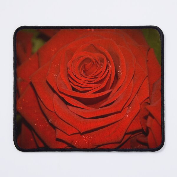 Item preview, Deep Red Rose designed and sold by karenadams.