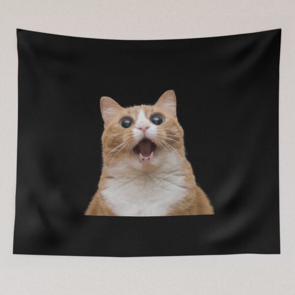 Item preview, Shocked Cat Meme – Adorable Big-Eyed Feline Surprise designed and sold by Imeline Valentin.