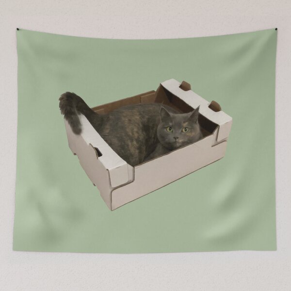 Item preview, Cat in a box, cardboard box cat designed and sold by suekieper.