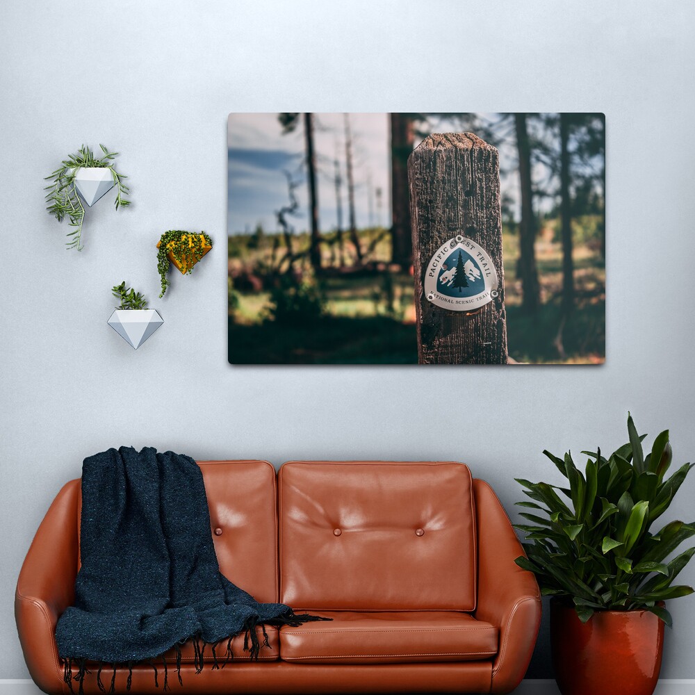 PCT Pacific Crest Trail sign Metal Print