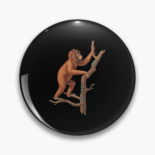 Item preview, Vintage Orangutan Zoological Illustration designed and sold by InnerCitadel.