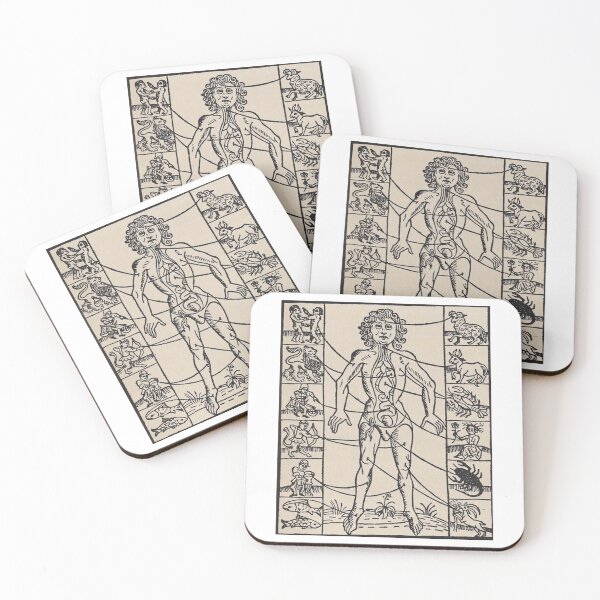 Item preview, Zodiac Man, Signs on the Zodiac on the Body Illustration  designed and sold by HawthorneFlame.