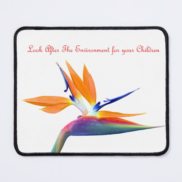 Item preview, Look After the Environment designed and sold by Peter Etchells.