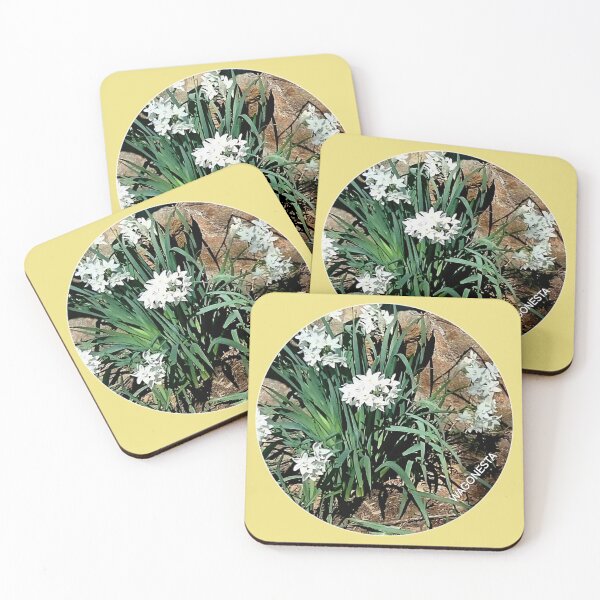 Item preview, Floral - Daffodils in the Garden by Wagonesta  designed and sold by Wagonesta.