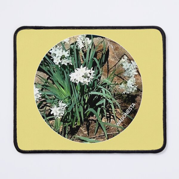 Item preview, Floral - Daffodils in the Garden by Wagonesta designed and sold by Wagonesta.