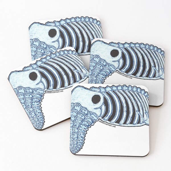 Item preview,  Bobtail Squid Skeleton designed and sold by nocturnalsea.