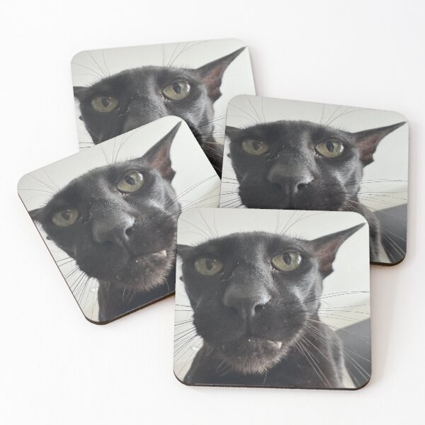 Item preview, Larry Closeup 2 designed and sold by Hobbikats.