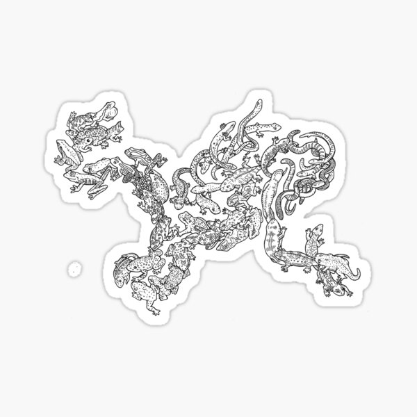 Amphibians - Evolution Sticker