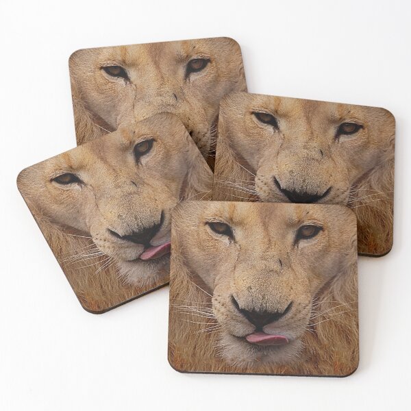Item preview, Big Cats 95 - (c) ben yassa designed and sold by beny .