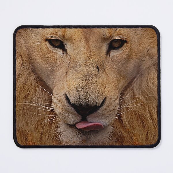 Item preview, Big Cats 95 - (c) ben yassa designed and sold by beny .