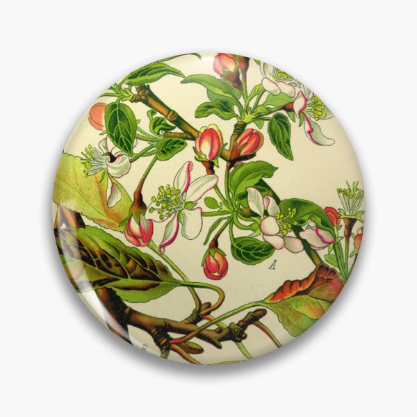 Item preview, Vintage Illustration of a Apple Tree designed and sold by botanicalworks.