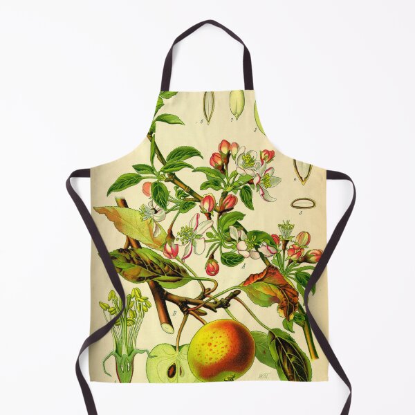 Item preview, Vintage Illustration of a Apple Tree designed and sold by botanicalworks.