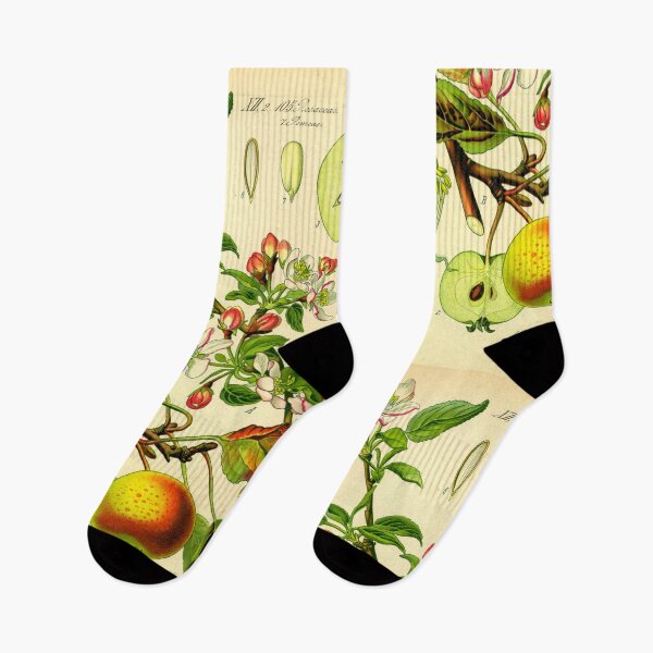 Item preview, Vintage Illustration of a Apple Tree designed and sold by botanicalworks.