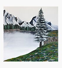 The Frozen Lake and the Lonely Pine Tree Photographic Print