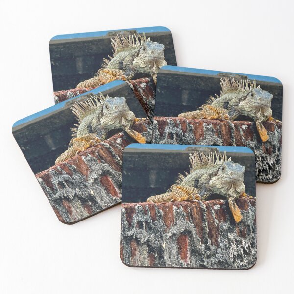 Item preview, Old San Juan Iguana designed and sold by Monique Stauder Visual Art.