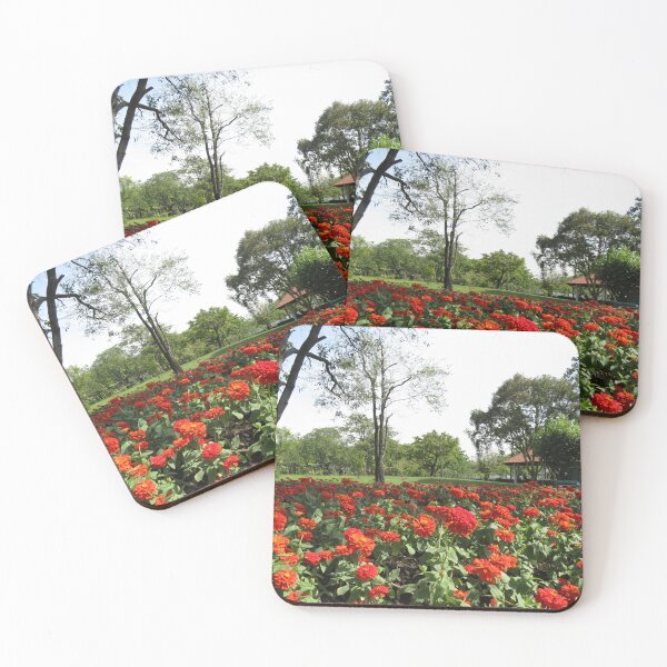 Item preview, Red Flower Display designed and sold by morrisophotography.