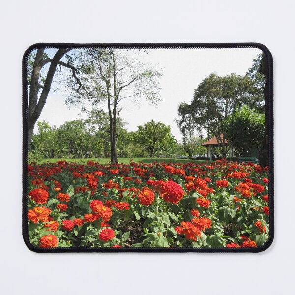 Item preview, Red Flower Display designed and sold by morrisophotography.