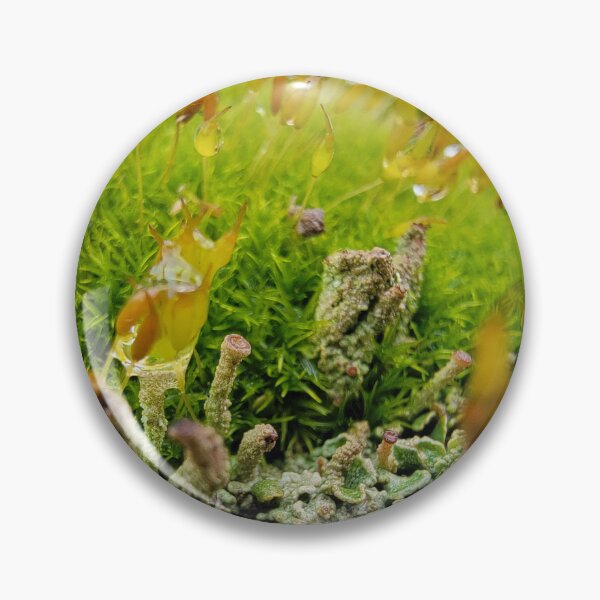 Item preview, Micro Eco System on the Farm designed and sold by Comicalcreation.