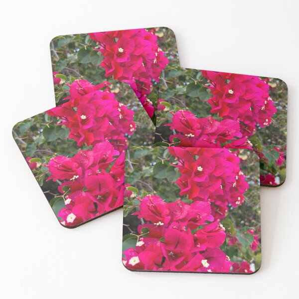 Item preview, Close Up Bougainvillea Flowers | Mexico Flower Photography designed and sold by YemmyZImages.