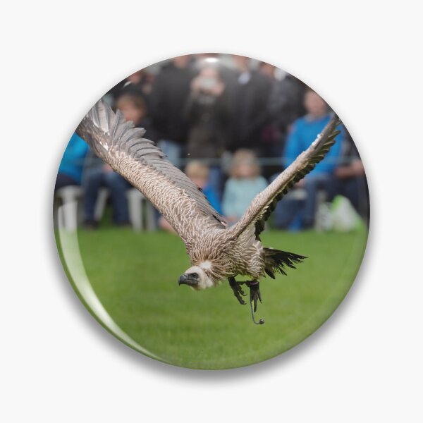 Item preview, Low flying Vulture During Bird Show designed and sold by David Patterson.