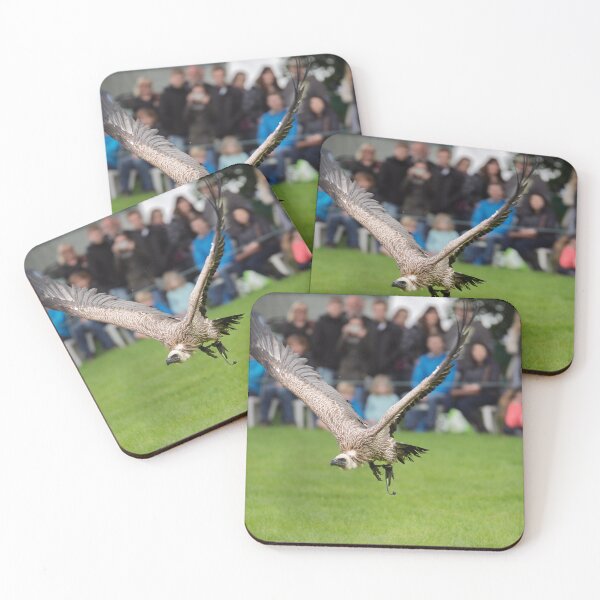 Item preview, Low flying Vulture During Bird Show designed and sold by David Patterson.