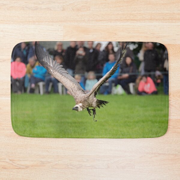 Item preview, Low flying Vulture During Bird Show designed and sold by David Patterson.