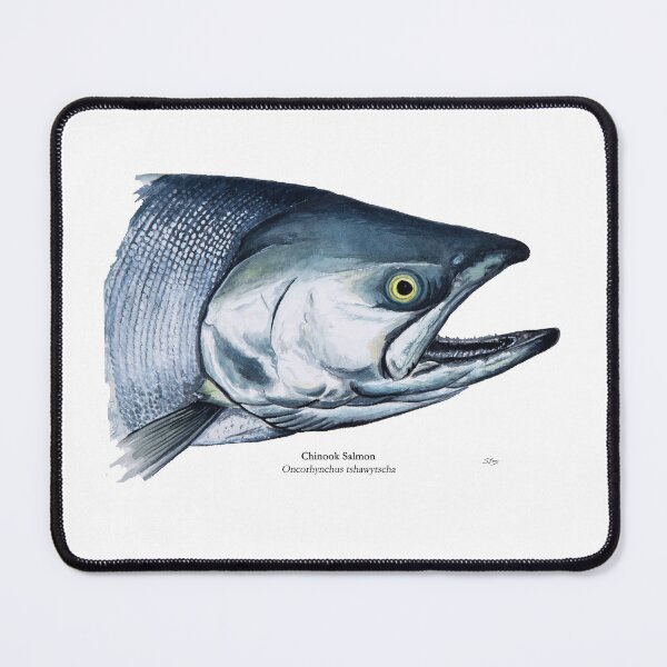 Item preview, Chinook Salmon Head Pinting designed and sold by Stephen Emms.