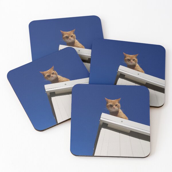 Item preview, Cattitude designed and sold by bullettrainyeti.