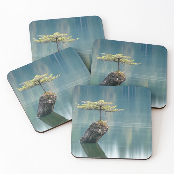 Item preview, Fairy Tree, Fairy Lake Vancouver Island designed and sold by LarsOlofPhoto.