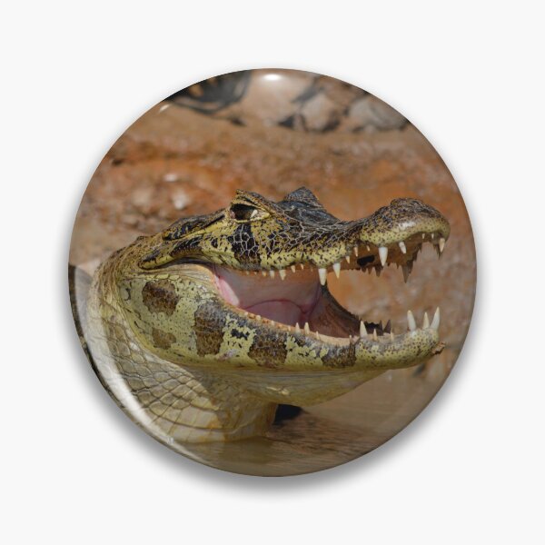 Item preview, Brazil Pantanal Caiman  designed and sold by Schoensl.