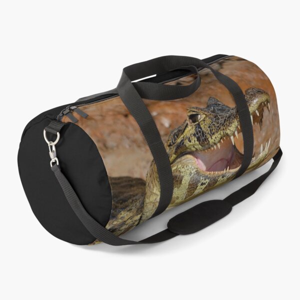 Item preview, Brazil Pantanal Caiman  designed and sold by Schoensl.