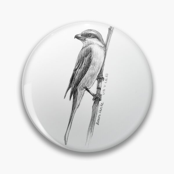 Item preview, Brown Shrike designed and sold by BirdsAndBrush.