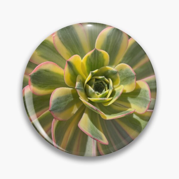 Item preview, Succulents designed and sold by Jennco60.