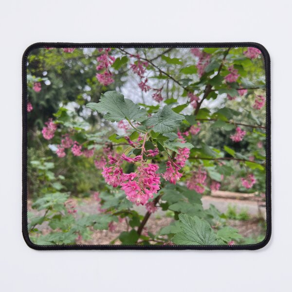 Item preview, Sweet Currants in Spring designed and sold by Jennco60.