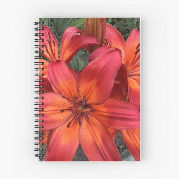 Item preview, Lilies 2 designed and sold by Jennco60.