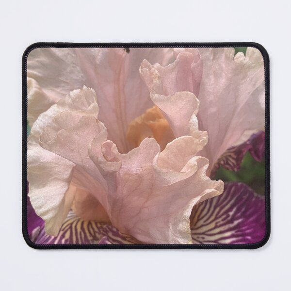 Aperçu de l'œuvre Iris 3 créée et vendue par Jennco60.
