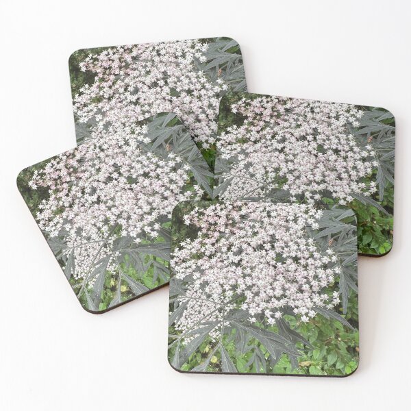 Item preview, Delicate star flowers designed and sold by Jennco60.