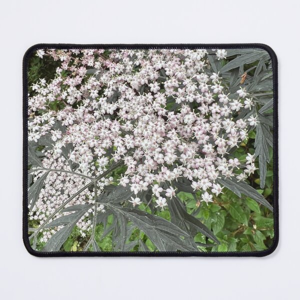 Item preview, Delicate star flowers designed and sold by Jennco60.