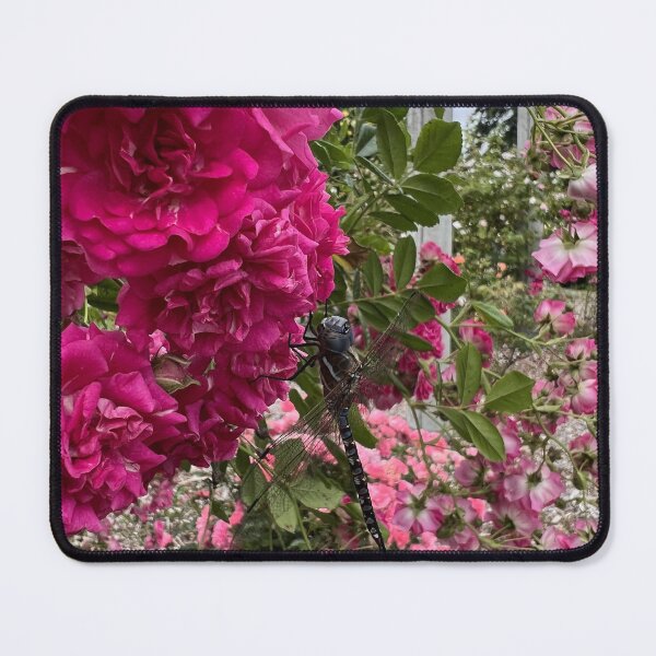 Item preview, Roses Galore designed and sold by Jennco60.