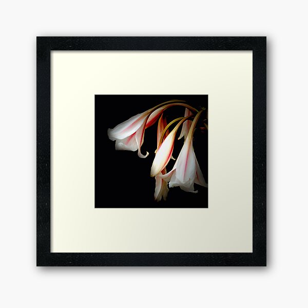 FLEURS EN ROSE 2 Framed Art Print